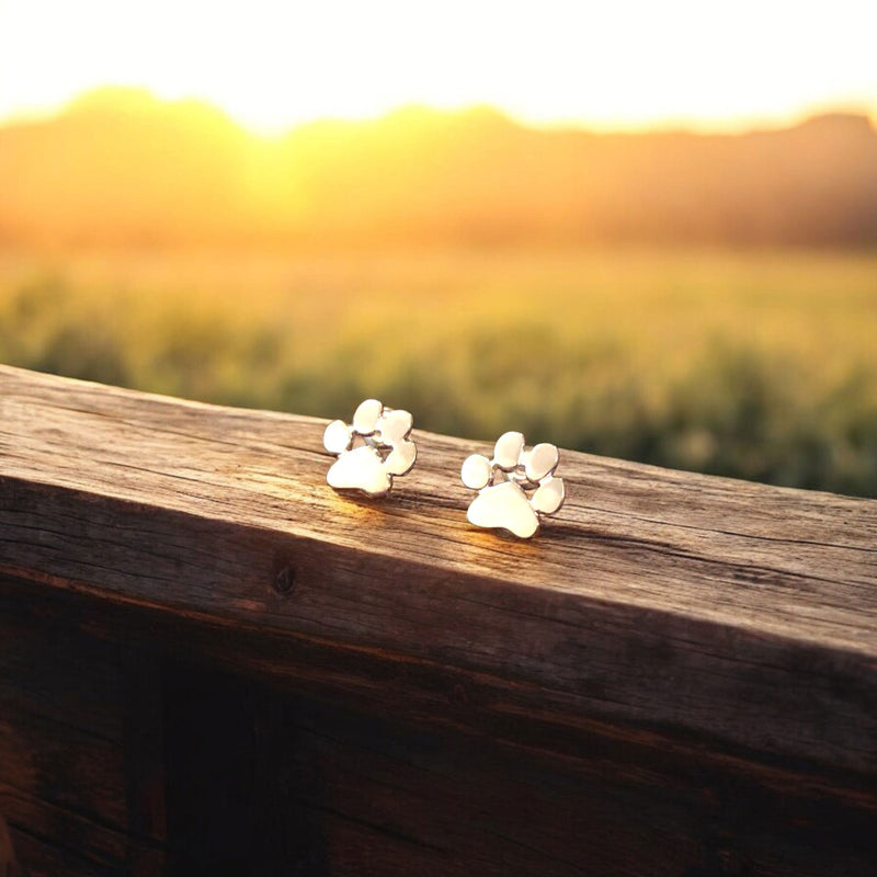 Yamira™ | Hypoallergenic Footprint-Shaped Earrings