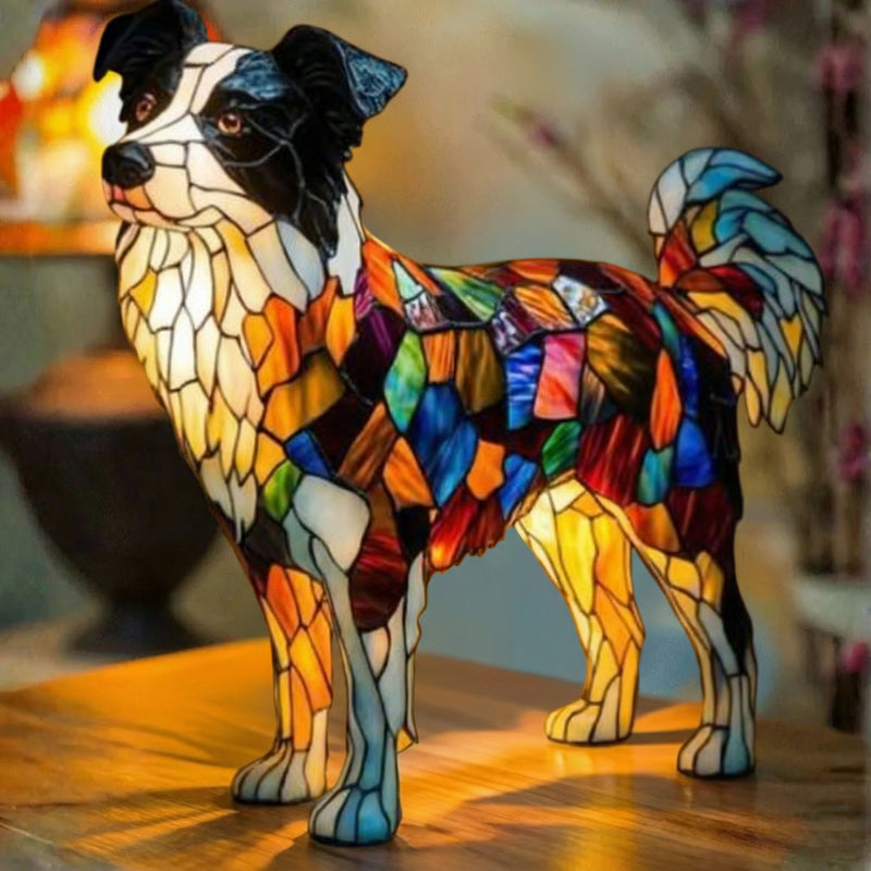 Piiri Collie Dog