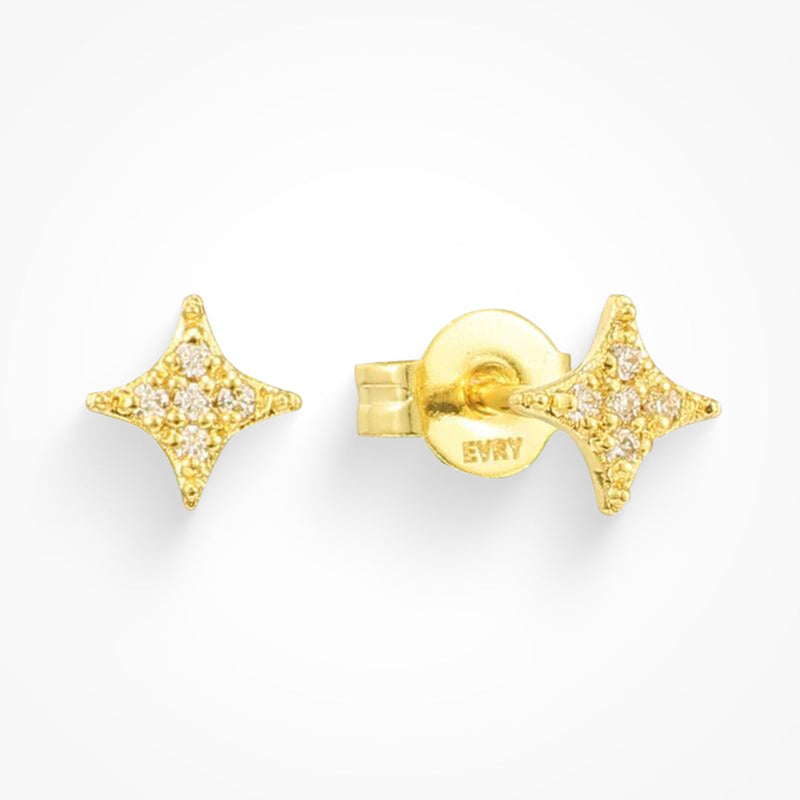 Lucie Elegant Star Earrings for Holiday Occasions